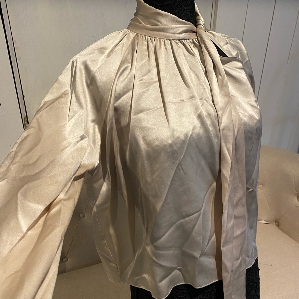 Michelle Mason Silk Champagne Blouse